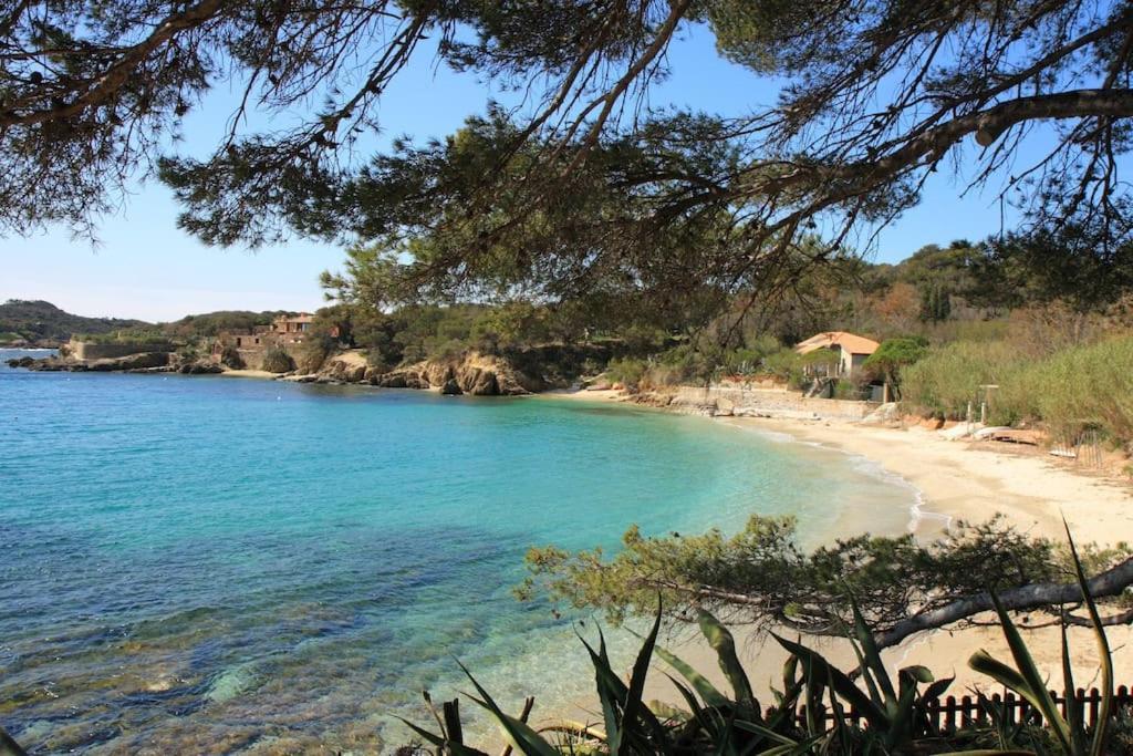 A 500 M Bord De Mer Giens Hyeres Bagian luar foto